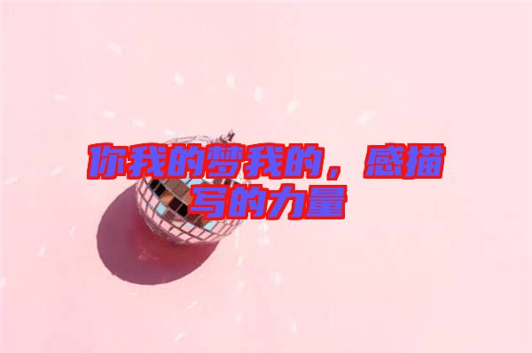 你我的夢(mèng)我的，感描寫(xiě)的力量