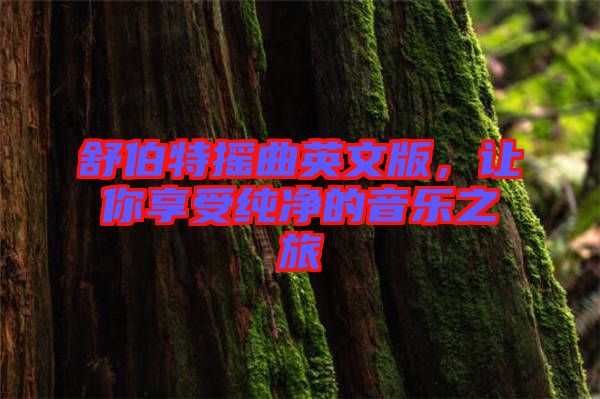 舒伯特?fù)u曲英文版，讓你享受純凈的音樂之旅