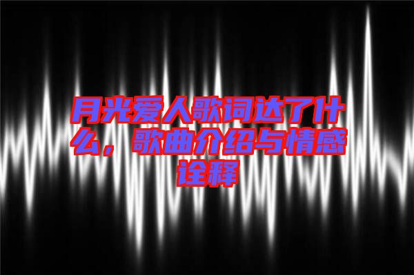 月光愛人歌詞達(dá)了什么，歌曲介紹與情感詮釋