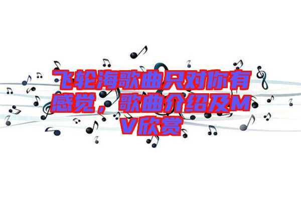 飛輪海歌曲只對(duì)你有感覺，歌曲介紹及MV欣賞