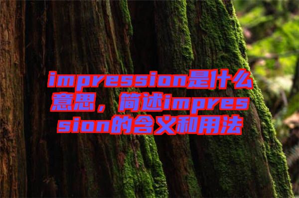 impression是什么意思，簡述impression的含義和用法
