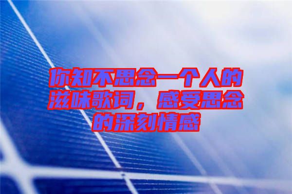 你知不思念一個(gè)人的滋味歌詞，感受思念的深刻情感