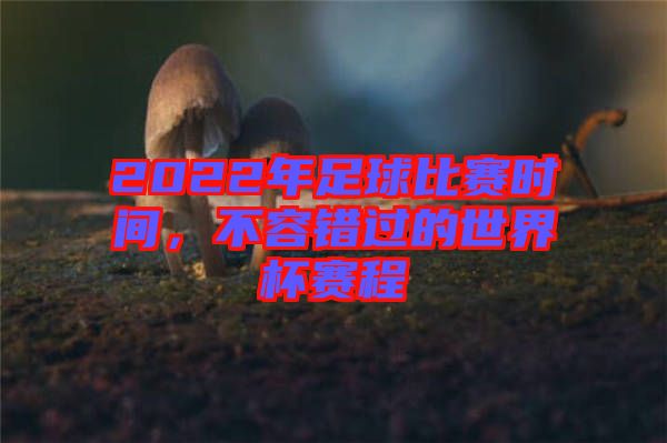 2022年足球比賽時(shí)間，不容錯(cuò)過(guò)的世界杯賽程