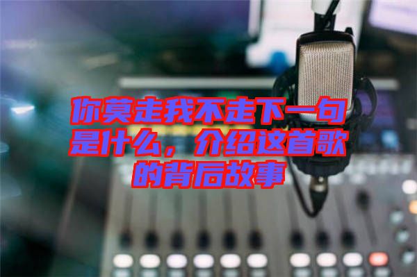 你莫走我不走下一句是什么，介紹這首歌的背后故事