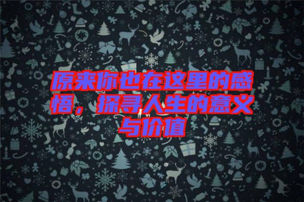 原來(lái)你也在這里的感悟，探尋人生的意義與價(jià)值