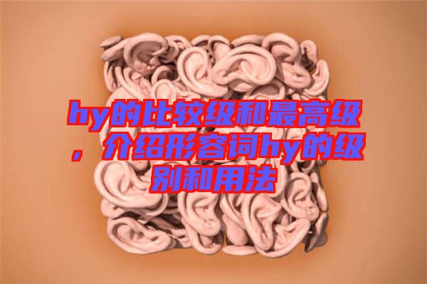 hy的比較級和最高級，介紹形容詞hy的級別和用法
