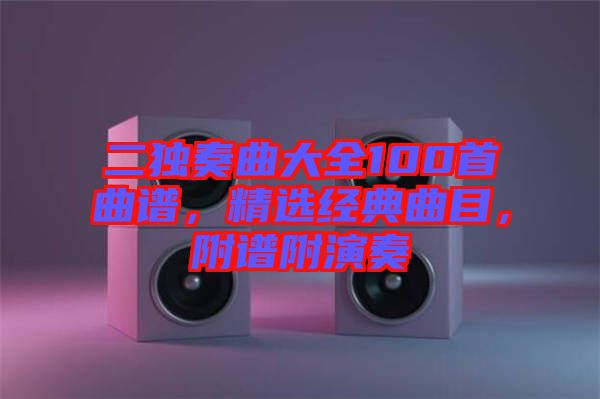 二獨(dú)奏曲大全100首曲譜，精選經(jīng)典曲目，附譜附演奏