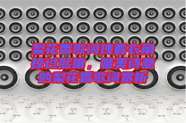 梨花香歌詞拽著衣角掠過熙攘，唯美詩意的梨花香歌詞賞析