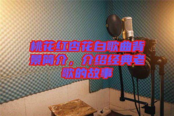 桃花紅杏花白歌曲背景簡(jiǎn)介，介紹經(jīng)典老歌的故事