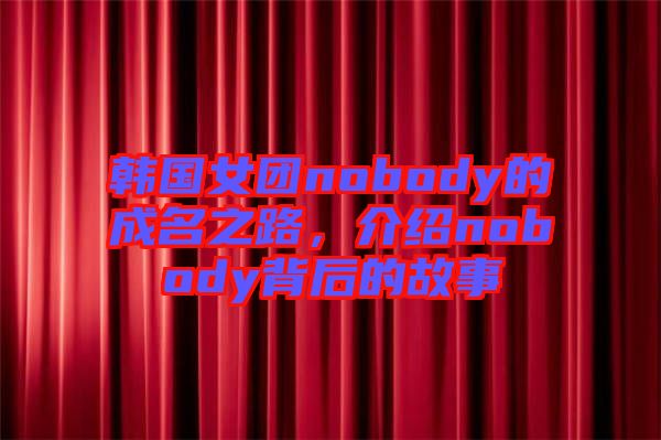 韓國(guó)女團(tuán)nobody的成名之路，介紹nobody背后的故事