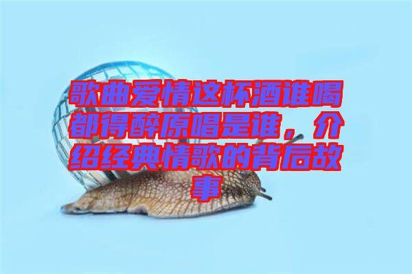 歌曲愛(ài)情這杯酒誰(shuí)喝都得醉原唱是誰(shuí)，介紹經(jīng)典情歌的背后故事