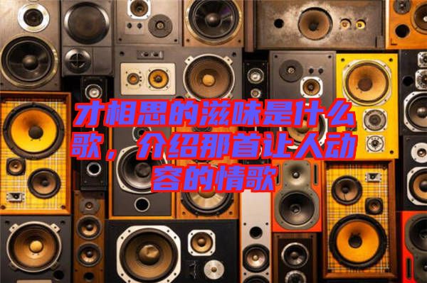 才相思的滋味是什么歌，介紹那首讓人動容的情歌