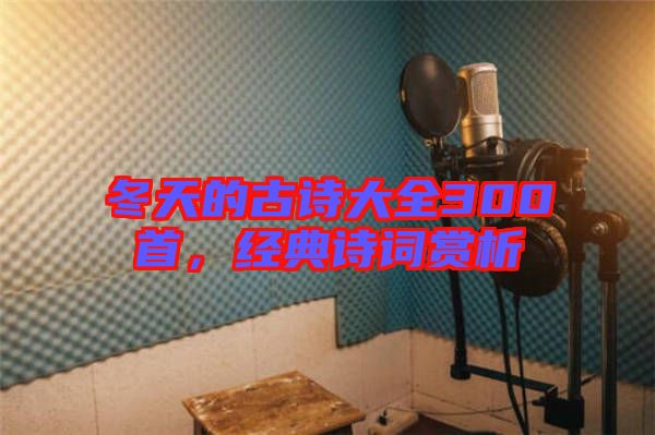 冬天的古詩(shī)大全300首，經(jīng)典詩(shī)詞賞析