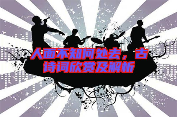 人面不知何處去，古詩(shī)詞欣賞及解析