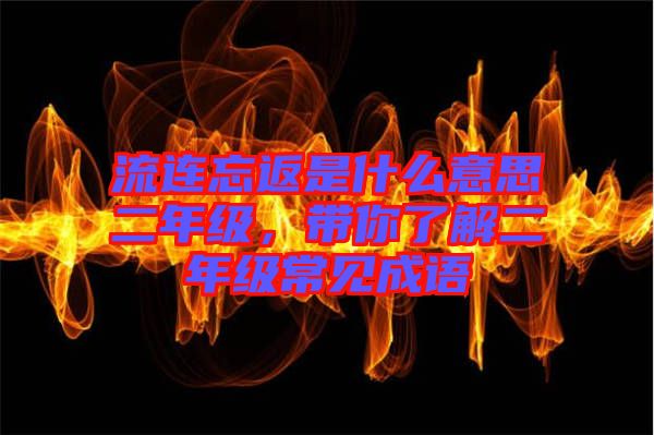 流連忘返是什么意思二年級，帶你了解二年級常見成語
