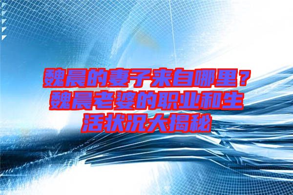 魏晨的妻子來自哪里？魏晨老婆的職業(yè)和生活狀況大揭秘