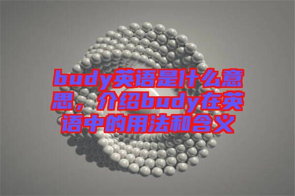 budy英語是什么意思，介紹budy在英語中的用法和含義