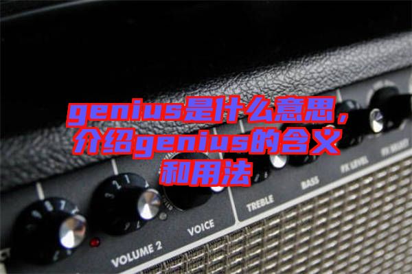 genius是什么意思，介紹genius的含義和用法