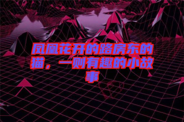 鳳凰花開(kāi)的路房東的貓，一則有趣的小故事