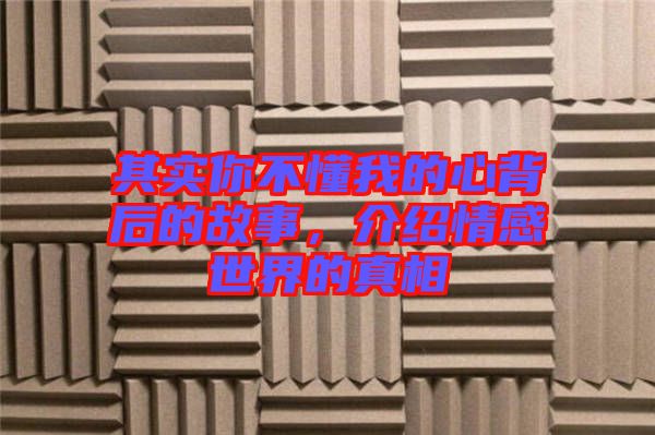 其實(shí)你不懂我的心背后的故事，介紹情感世界的真相