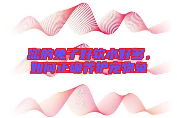 您的兔子好軟水好多，如何正確養(yǎng)護(hù)寵物兔