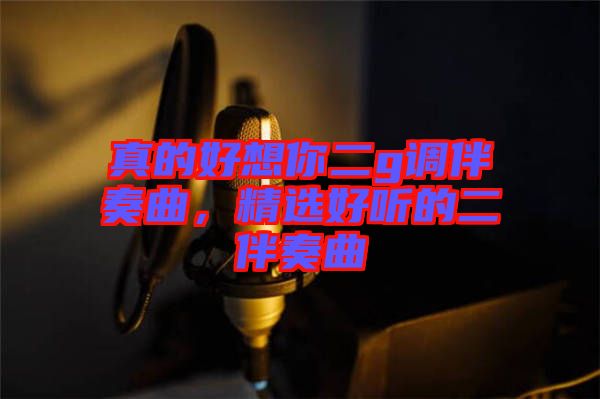 真的好想你二g調(diào)伴奏曲，精選好聽的二伴奏曲