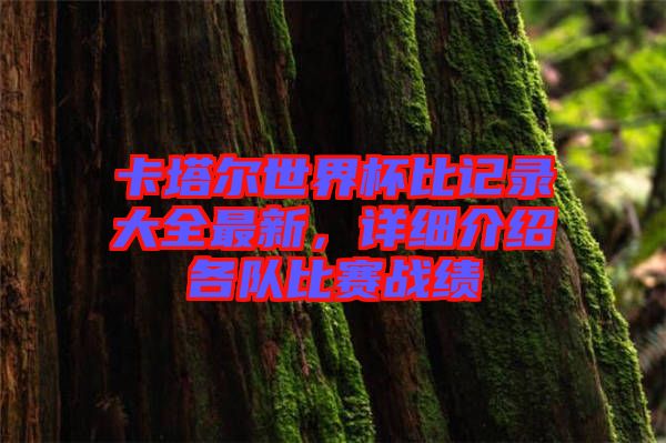 卡塔爾世界杯比記錄大全最新，詳細(xì)介紹各隊(duì)比賽戰(zhàn)績