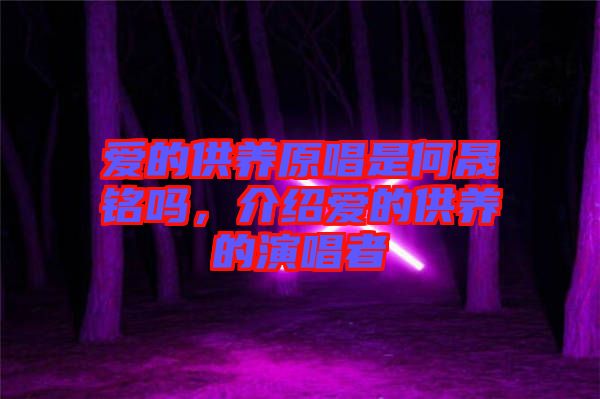 愛的供養(yǎng)原唱是何晟銘嗎，介紹愛的供養(yǎng)的演唱者
