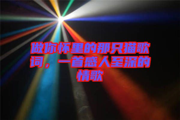 做你懷里的那只貓歌詞，一首感人至深的情歌