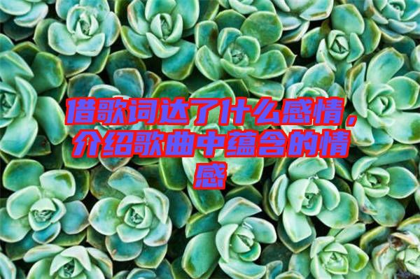 借歌詞達(dá)了什么感情，介紹歌曲中蘊含的情感
