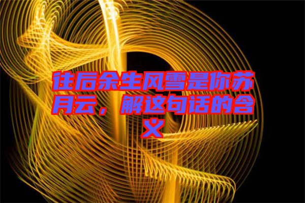 往后余生風(fēng)雪是你蘇月云，解這句話的含義