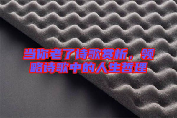 當(dāng)你老了詩歌賞析，領(lǐng)略詩歌中的人生哲理