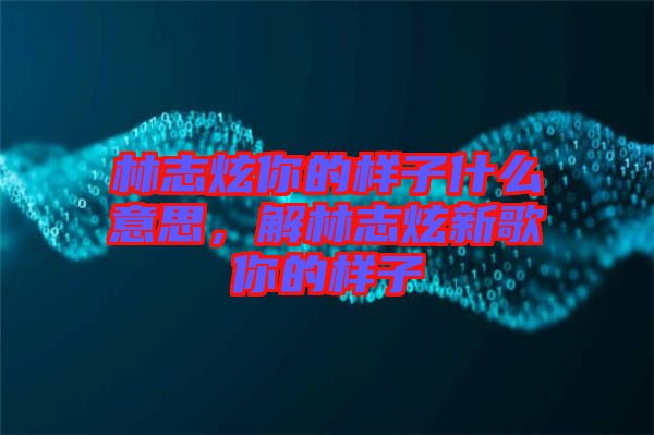 林志炫你的樣子什么意思，解林志炫新歌你的樣子