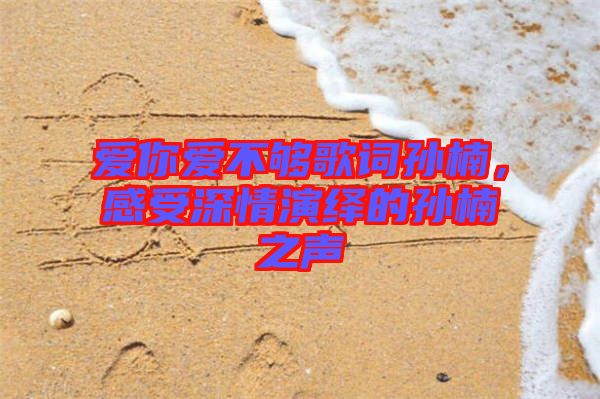 愛(ài)你愛(ài)不夠歌詞孫楠，感受深情演繹的孫楠之聲