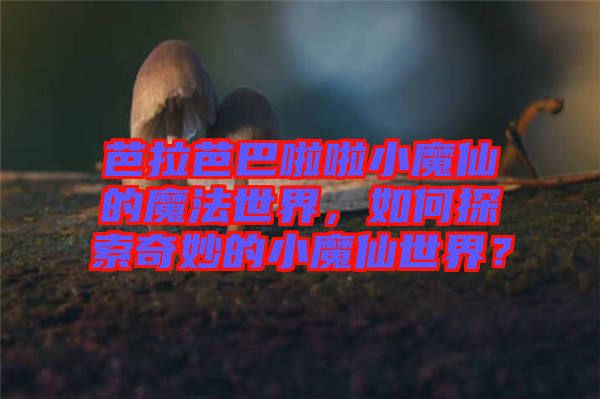 芭拉芭巴啦啦小魔仙的魔法世界，如何探索奇妙的小魔仙世界？
