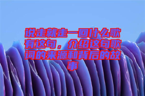 說走就走一回什么歌有這句，介紹這句歌詞的來源和背后的故事