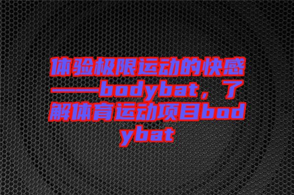體驗極限運動的快感——bodybat，了解體育運動項目bodybat
