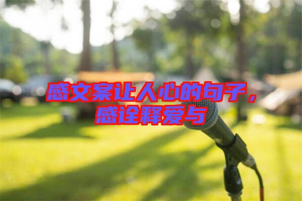 感文案讓人心的句子，感詮釋愛與