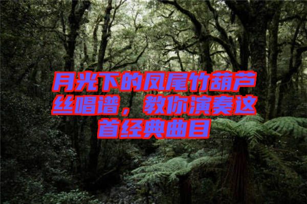 月光下的鳳尾竹葫蘆絲唱譜，教你演奏這首經(jīng)典曲目