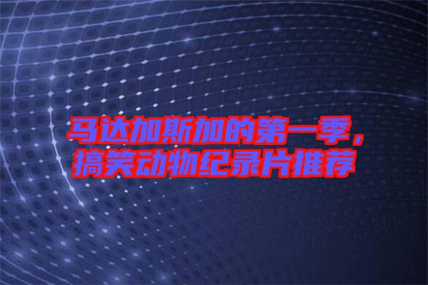 馬達(dá)加斯加的第一季，搞笑動(dòng)物紀(jì)錄片推薦