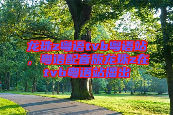 龍珠z粵語tvb粵語站，粵語配音版龍珠z在tvb粵語站播出