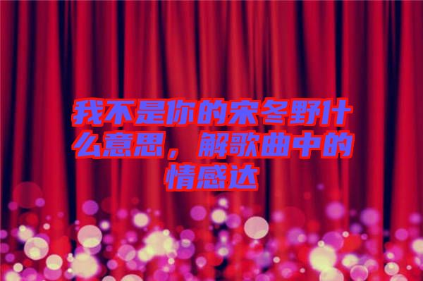 我不是你的宋冬野什么意思，解歌曲中的情感達(dá)