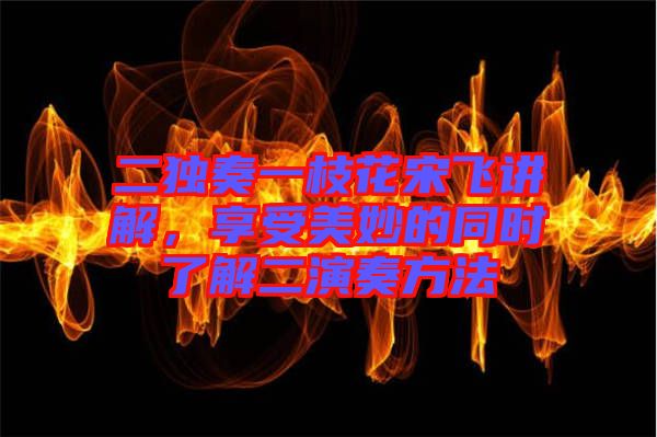 二獨(dú)奏一枝花宋飛講解，享受美妙的同時了解二演奏方法