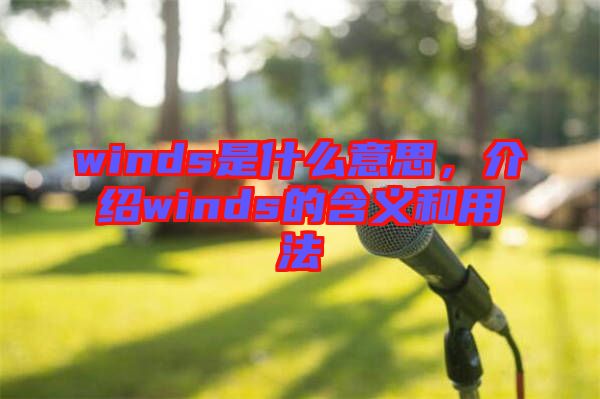 winds是什么意思，介紹winds的含義和用法