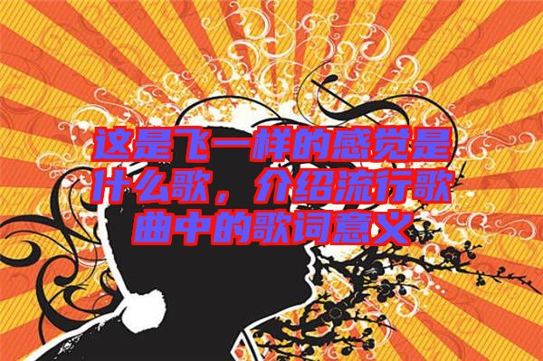 這是飛一樣的感覺是什么歌，介紹流行歌曲中的歌詞意義