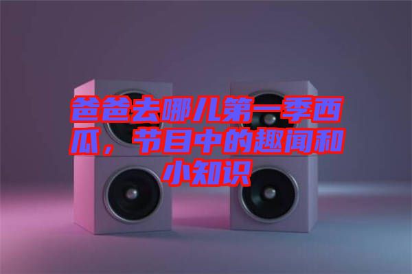 爸爸去哪兒第一季西瓜，節(jié)目中的趣聞和小知識(shí)