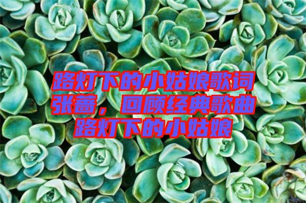 路燈下的小姑娘歌詞張薔，回顧經(jīng)典歌曲路燈下的小姑娘