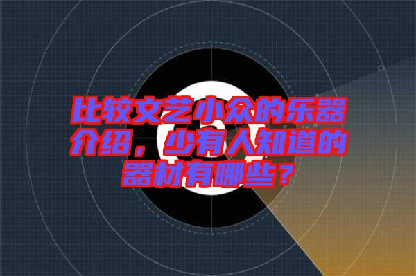 比較文藝小眾的樂器介紹，少有人知道的器材有哪些？