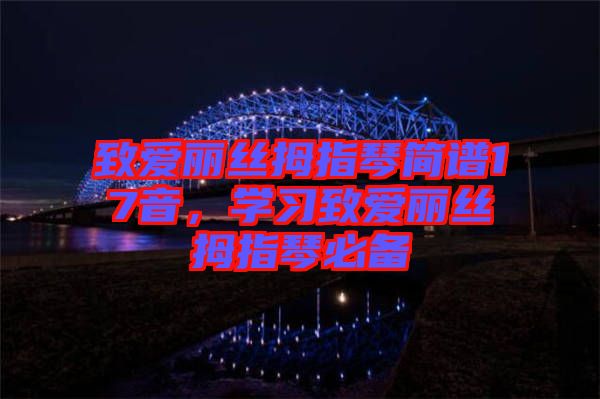 致愛麗絲拇指琴簡譜17音，學習致愛麗絲拇指琴必備