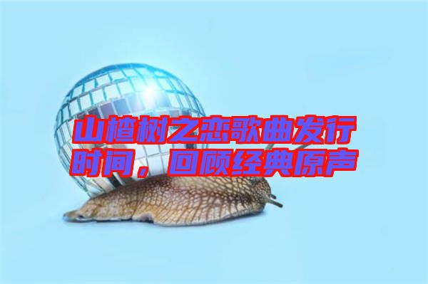 山楂樹之戀歌曲發(fā)行時(shí)間，回顧經(jīng)典原聲
